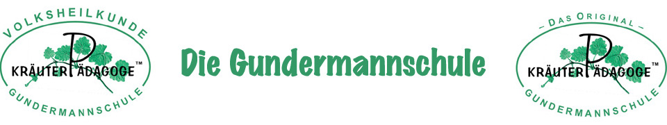 The School of Herbalists - Gundermannschule® – Gundermann-Naturerlebnisschule